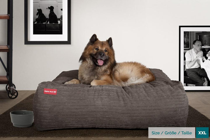 Hundepute / Puff, Memory Foam Hundeseng - Cord Grafitt